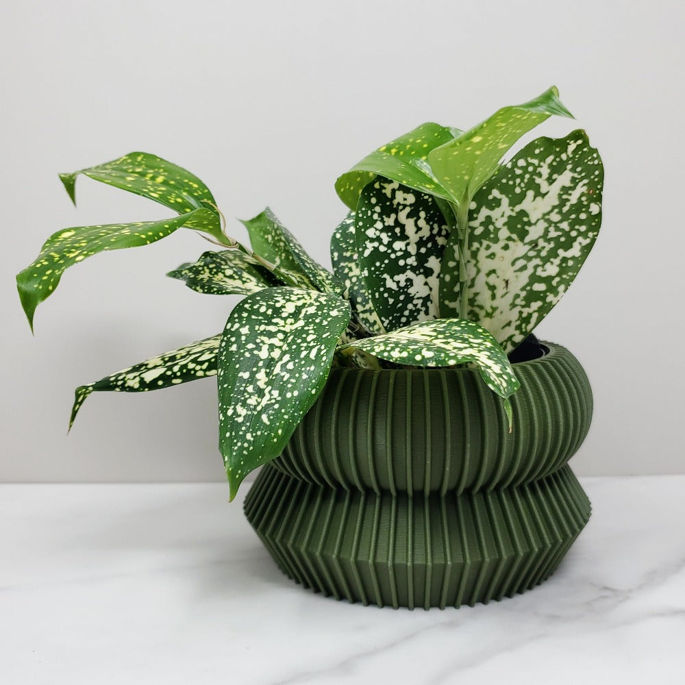4" Planter, Olive