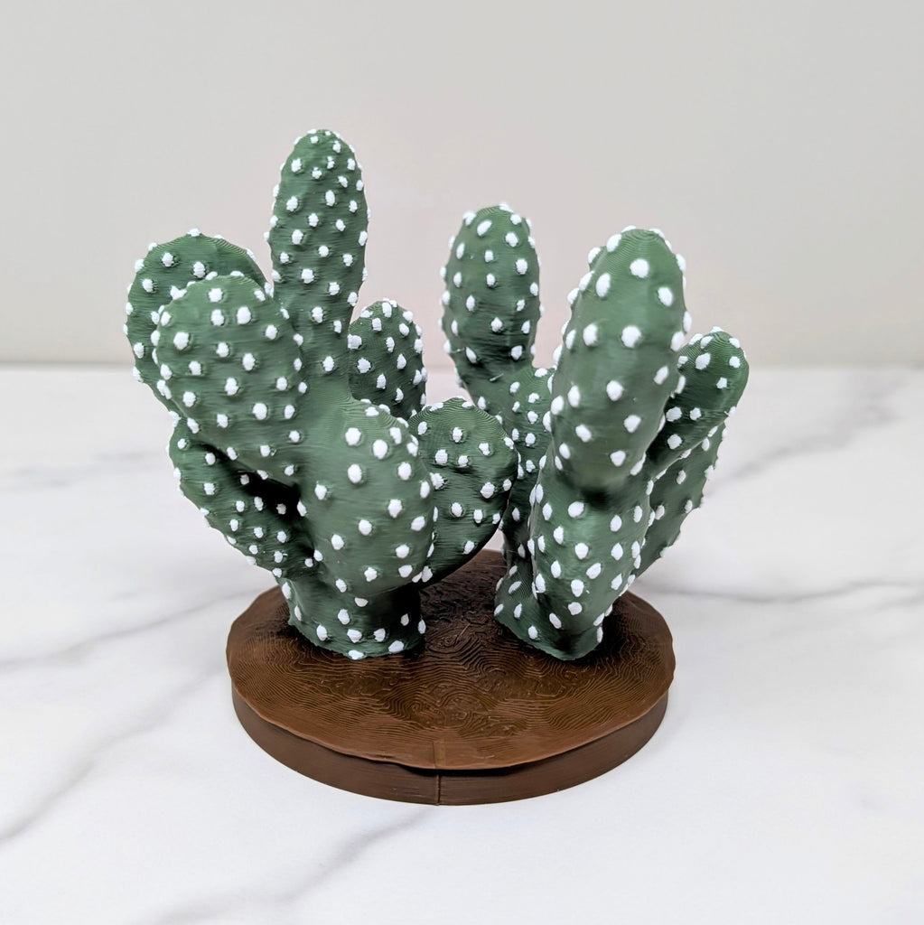 Container Cactus Lid - Prickly Pear, Pastel Rainbow