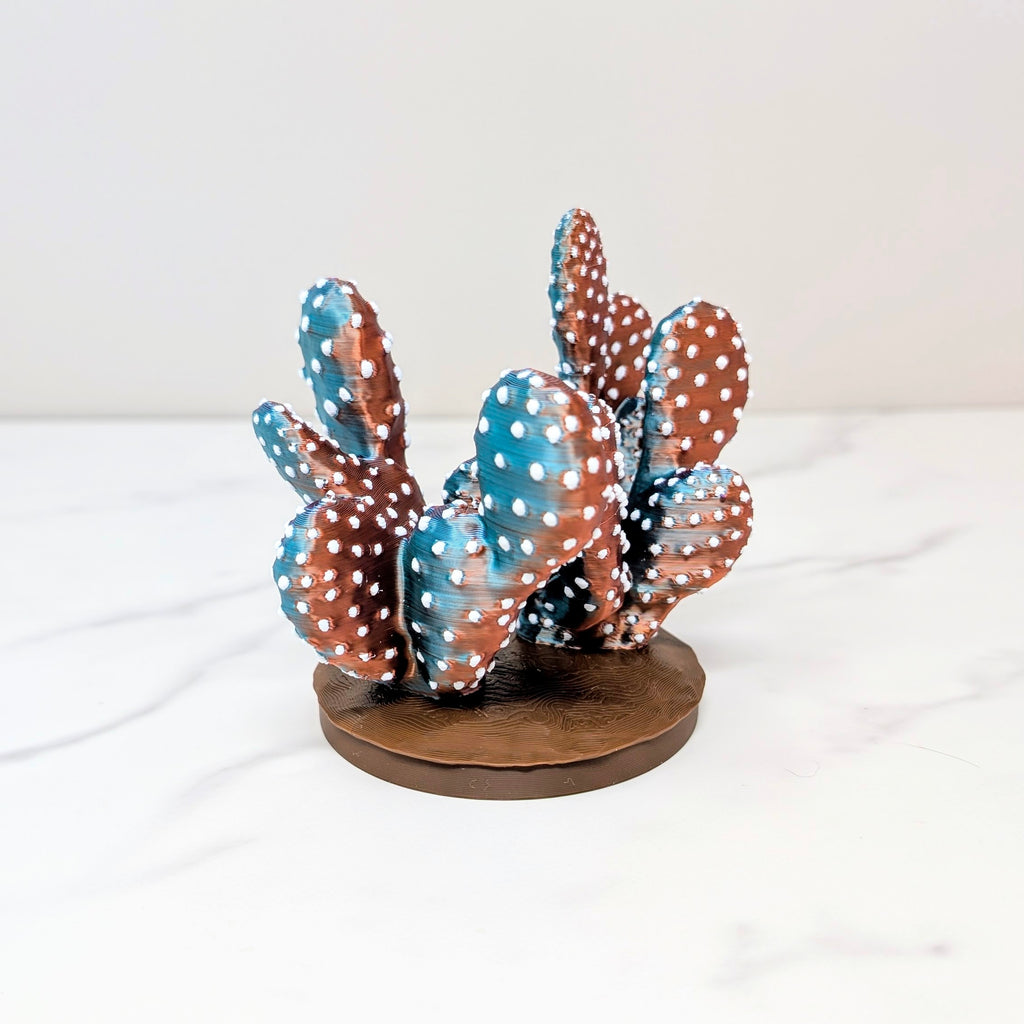 Container Cactus Lid - Prickly Pear, Dusk to Dawn
