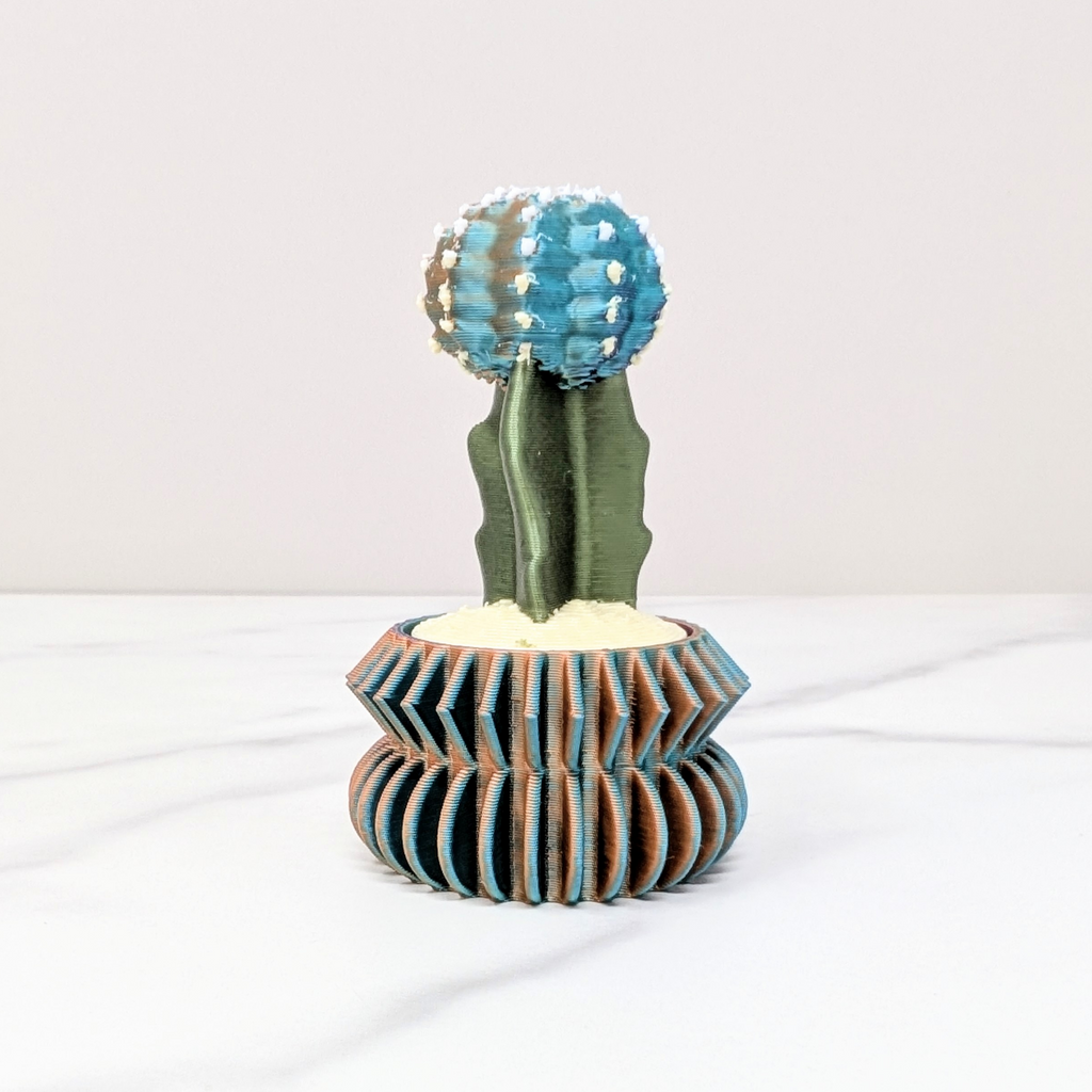 Cactus Clicker - Moon Cactus, Dusk to Dawn